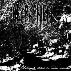 Nobody Lives in New World